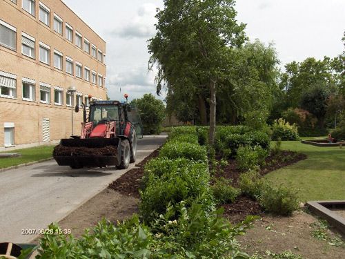 TRÄDGÅRDSTJÄNST LUND AB