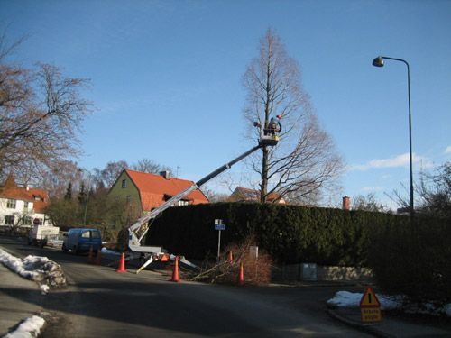 TRÄDGÅRDSTJÄNST LUND AB